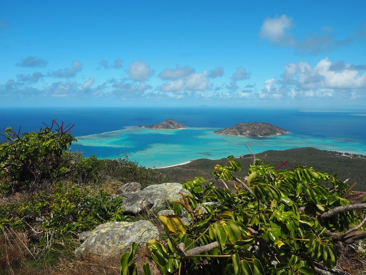 Источник: Carly Alexander via Legion Media