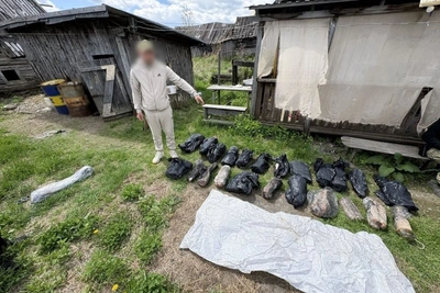 До 4 лет грозит комсомольчанину за найденную на Амуре рыбу