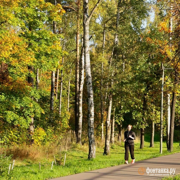 Источник: Марина Мамонтова / FONTANKA.RU