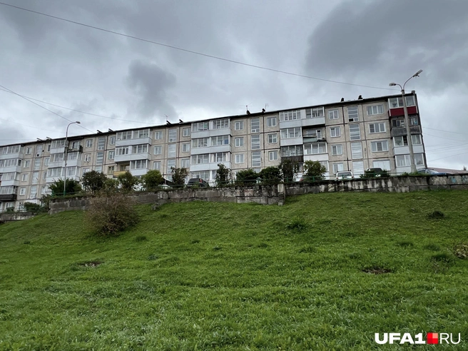 Вроде ничего необычного | Источник: Андрей Бирюков / UFA1.RU