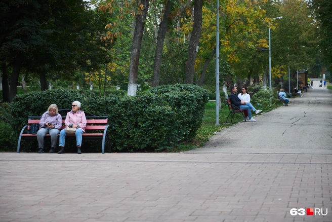 И не мешать другим | Источник: Роман Данилкин / 63.RU
