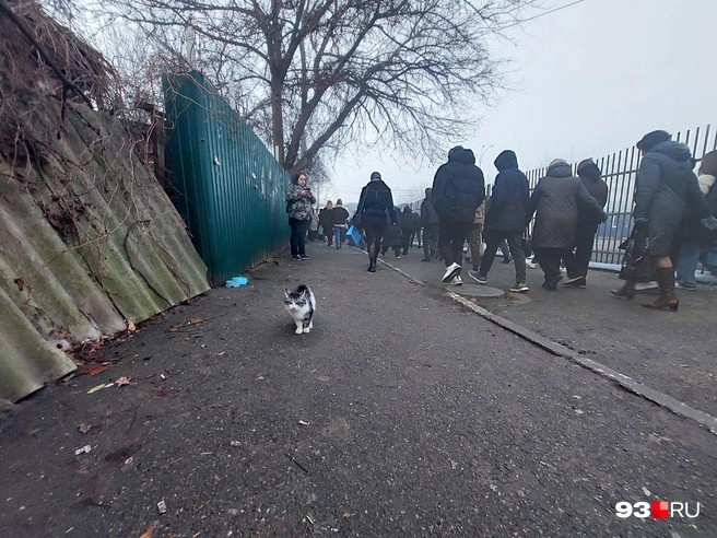 Станцию явно не помешало бы обновить | Источник: Максим Дмитриев / 93.RU