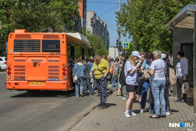 В Автозаводском районе произошел скандал из-за Wi-fi у «умных остановок» | Источник: «Кстати… (Новости Нижнего Новгорода)» / Vk.com