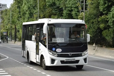 С 1 августа автобус № 115 вернётся на Новороссийское шоссе