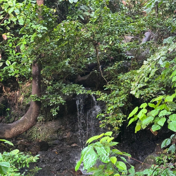 деревня Порт Бартон | Источник: личный архив Артура