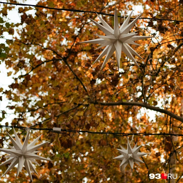 Источник: Дарья Паращенко / 93.RU