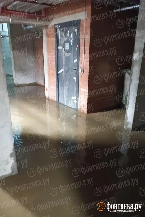 «Дом утопает в фекалиях». Жильцы дома бизнес-класса в Калининском районе жалуются на затопленный подвал и чудовищный запах | Источник: читатель «Фонтанки»