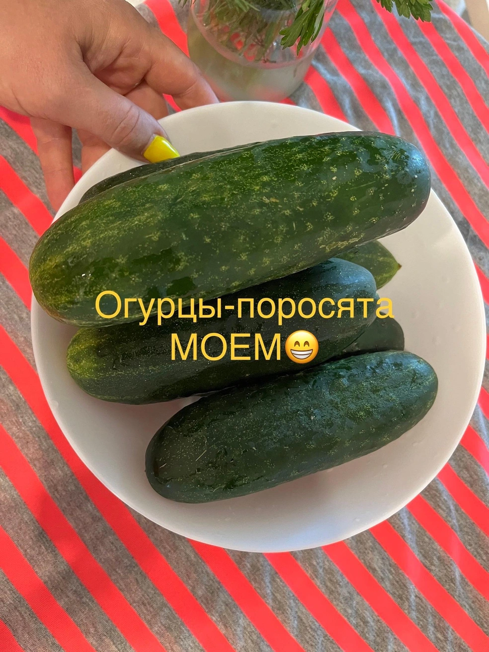 Источник: Мила Логвинова