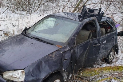 Лада врезалась в деревья в Воронежской области