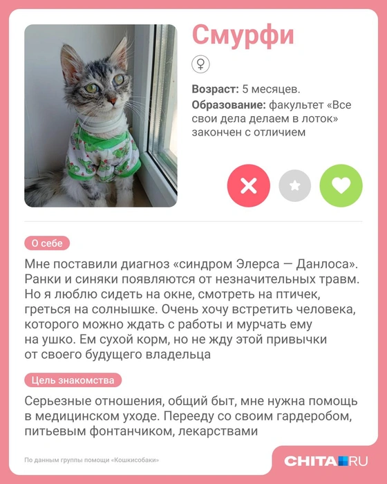 Источник: Юрий Скулыбердин / Городские медиа
