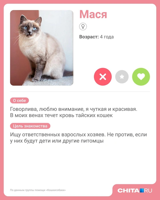 Источник: Юрий Скулыбердин / Городские медиа