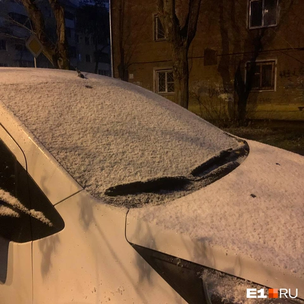 Источник: Дарья Манохина / E1.RU