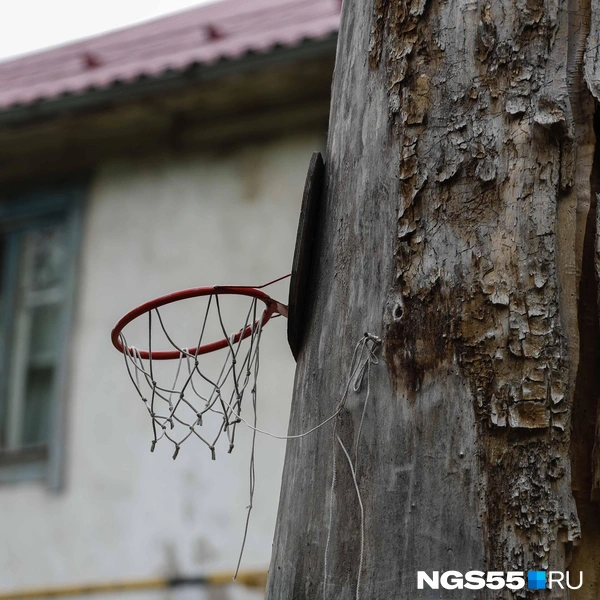 Очень фотогеничное кольцо | Источник: Евгений Софийчук / NGS55.RU