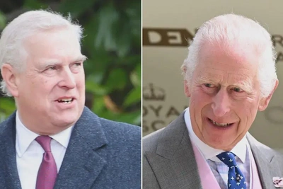 Почему король Карл III пошёл на сотрудничество с полицией