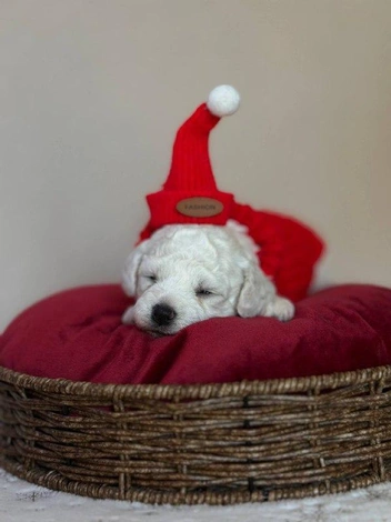 Мимиметр зашкалил и сломался | Источник: читатель НГС 