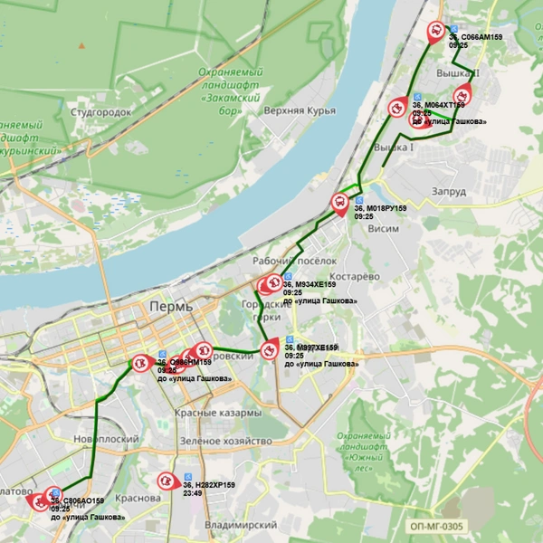 На маршруте № 36 ситуация была лучше | Источник: map.gortransperm.ru