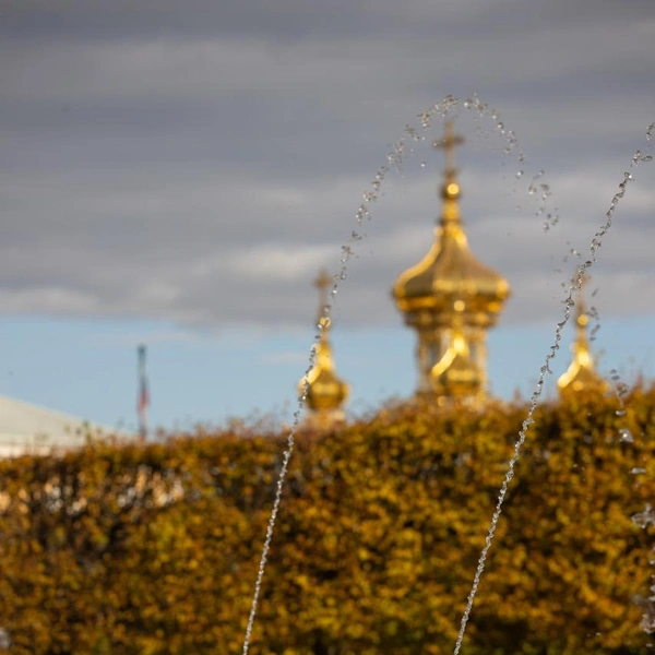 Источник: музей-заповедник «Петергоф»