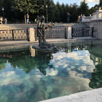 Аватарка ptashka