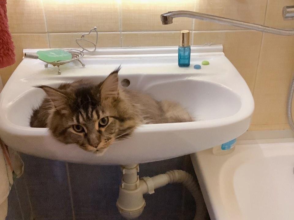В пяти районах Перми на время отключат холодную воду — кого это коснется