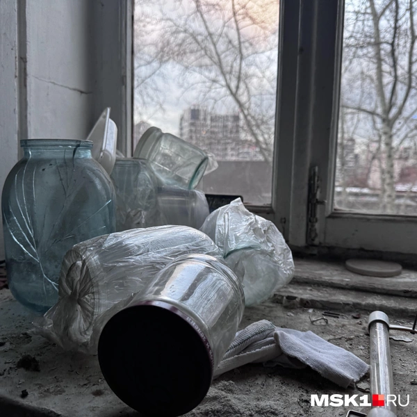 Источник: Алина Мельникова / MSK1.RU