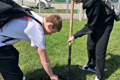 В Кузнецке у школы №17 высадили аллею памяти