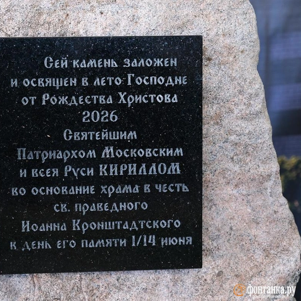 Источник: Анжела Мнацаканян / FONTANKA.RU