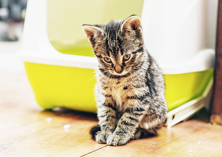 iStock