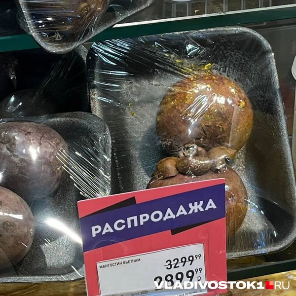 Источник: Елена Буйвол / VLADIVOSTOK1.RU