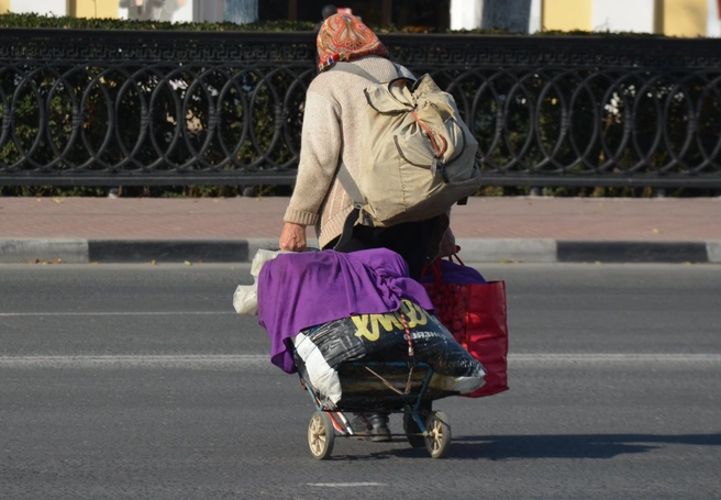 В Новомичуринске сбили пенсионерку-нарушительницу | ya62.ru