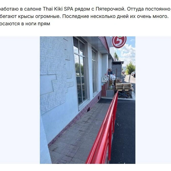 Источник: uslugi.tatarstan.ru