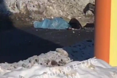 В Туле на Восточном обводе произошло смертельное ДТП