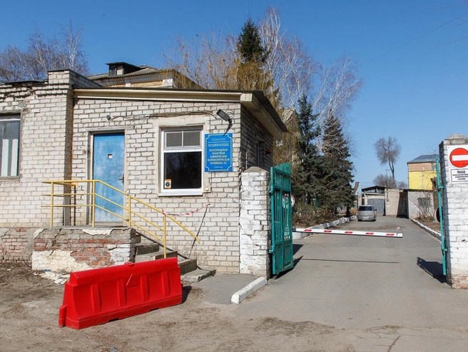 В областном комитете здравоохранения настаивают, что пациент причинил себе вред самостоятельно. | Источник: Алексей Волхонский / V1.RU