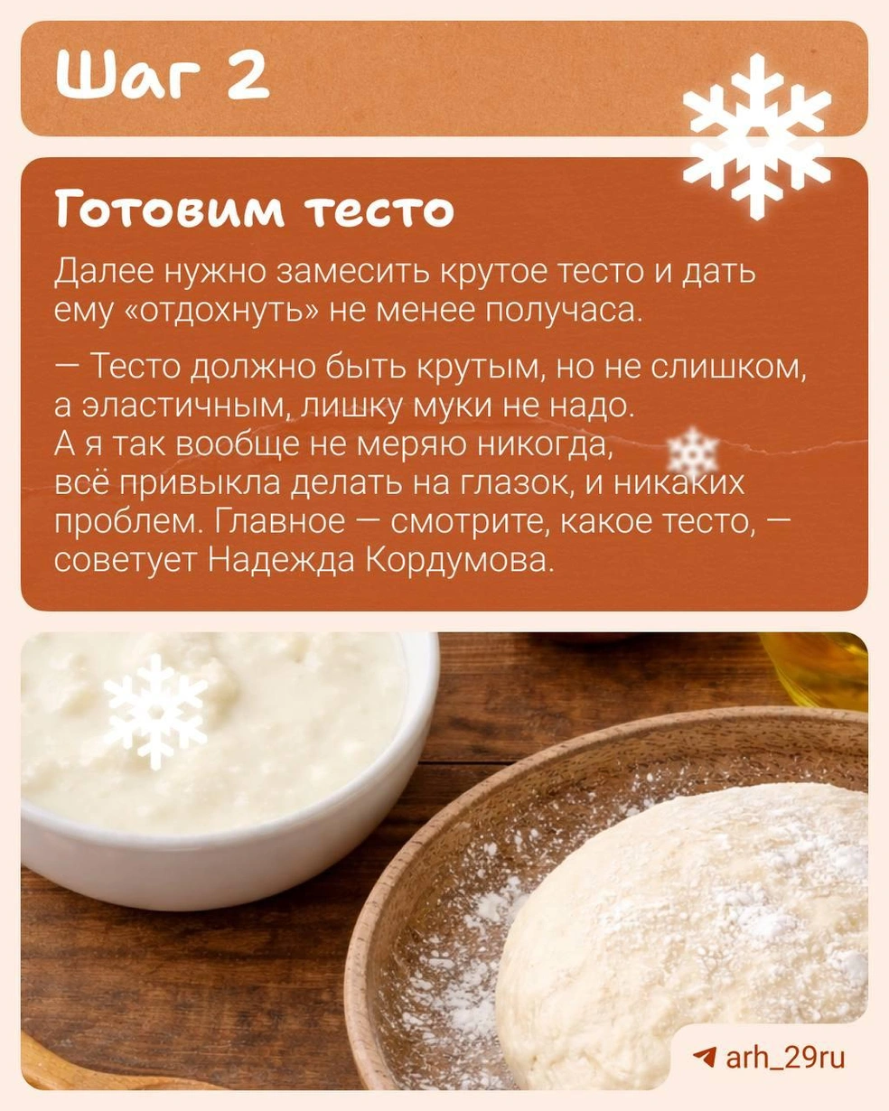 Источник: Анастасия Гусева / 29.RU