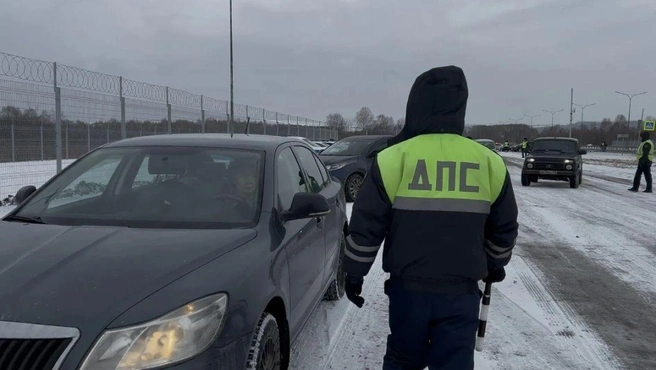 Источник: www.city-n.ru