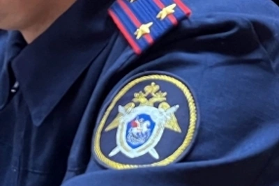 Житель Задонска обвинен в смертельном избиении матери