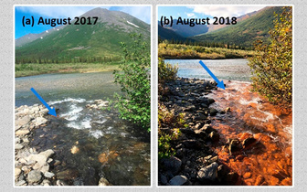 Исчезла рыба, вода стала ржавой: что происходит с реками Аляски и возможно ли такое в России?