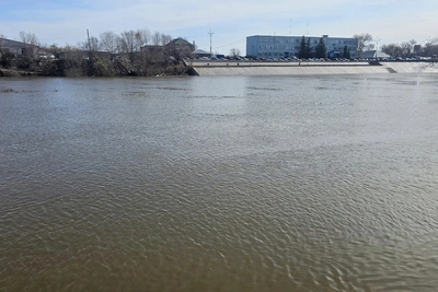 Власти Кургана заявили об отсутствии угрозы эвакуации в Радужном