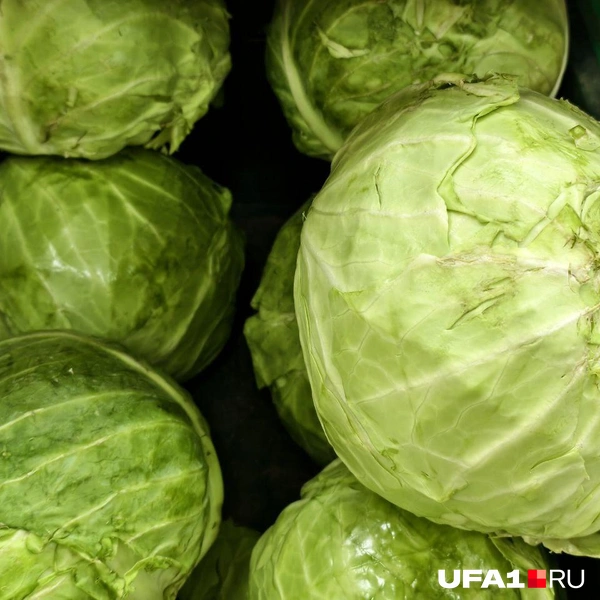 Источник: Булат Салихов / UFA1.RU
