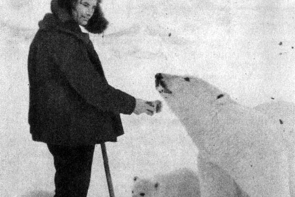 «Дружбы твоей прошу»: как полярник приручил белую медведицу — дневник