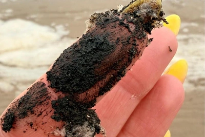 Пляж в Сосновом Бору покрыла чёрная субстанция