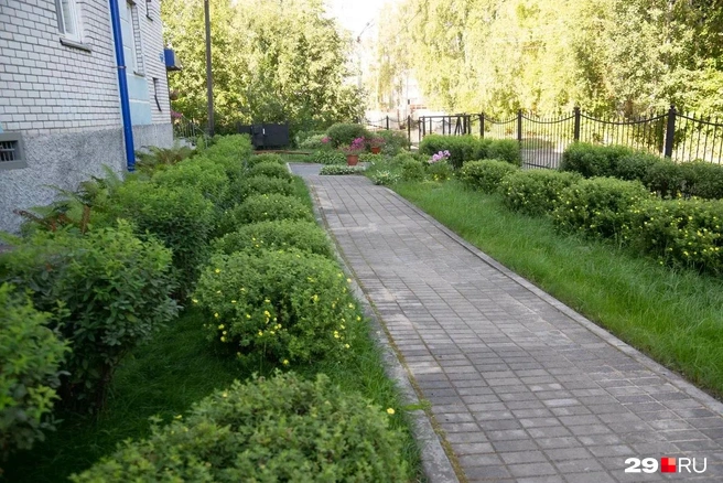 Источник: Иван Митюшёв / 29.RU