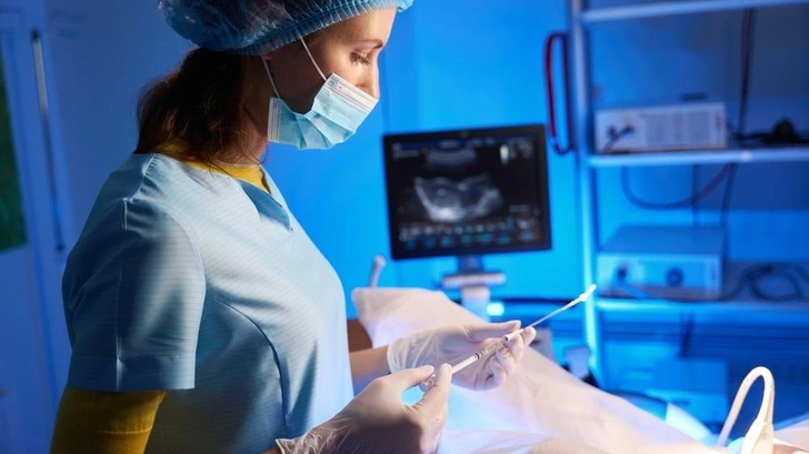 Источник: Svitlana Hulko/Shutterstock/Fotodom.ru