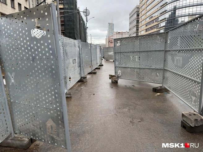 Источник: Полина Громова / MSK1.RU