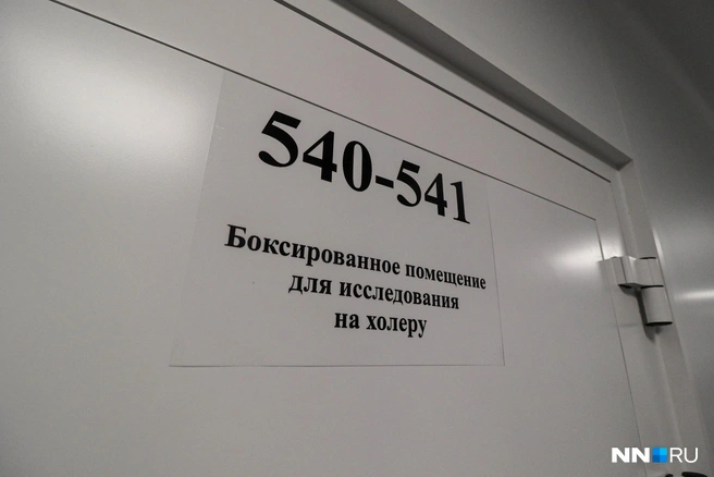 Исследования на холеру тоже будут проводить | Источник: Наталья Бурухина / NN.RU