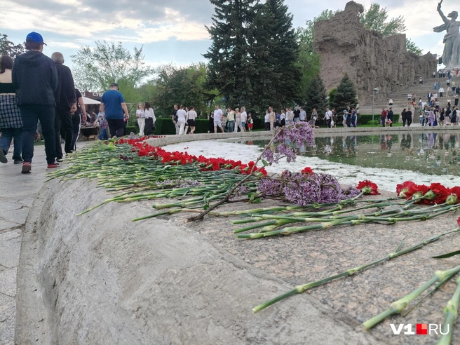 Гвоздики традиционно лежали вокруг скульптуры «Стоять насмерть!» | Источник: Мария Умнова / V1.RU