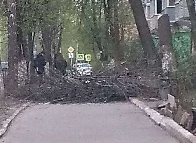 Рязанка пожаловалась на оставленные на тротуаре после спила деревьев ветки | ya62.ru