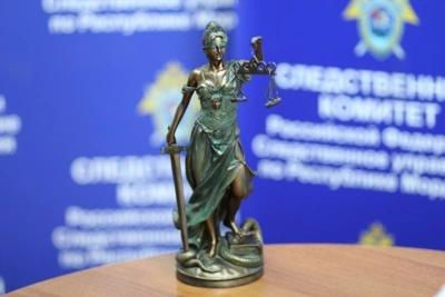 Жительница Ичалковского района осуждена за убийство пенсионерки