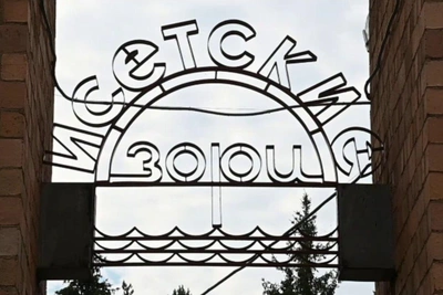 Детский лагерь на Урале закрыт из-за вспышки норовируса