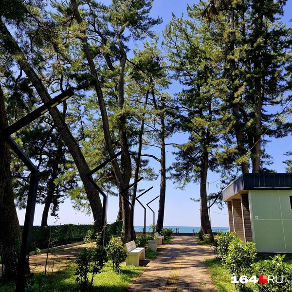 Источник: Виктория Федорова / 164.RU