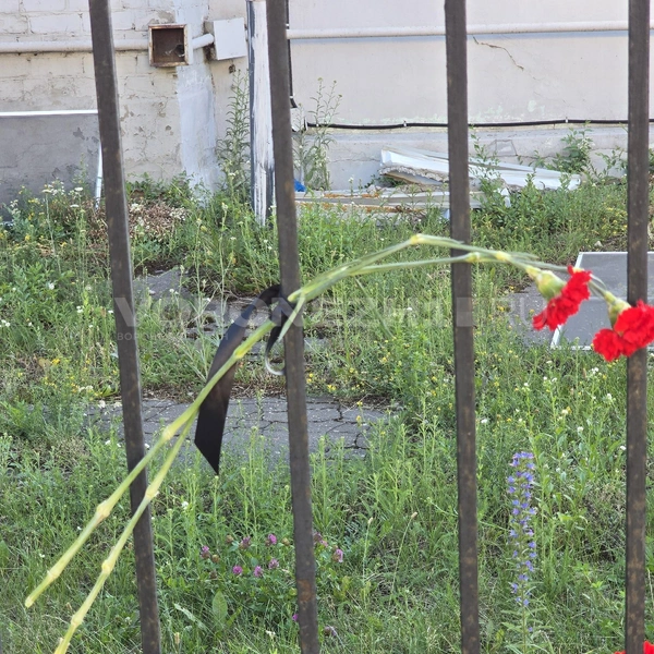 Источник: Ирина Булгакова / Voronezh1.ru